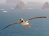  / &copy;: WWF-New Zealand