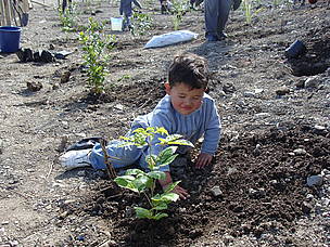 He Oranga mo nga Uri Tuku Iho Trust, an HPF group. Planting day. / &copy;: Pia Pahuto - Tui Warmenhoven