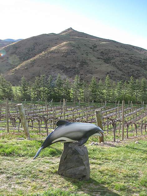  / &copy;: WWF
