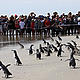 &copy; Maritime New Zealand 
