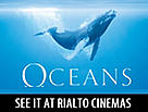  / &copy;: Rialto Cinemas