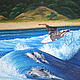 FINALIST: Surfer and dolphin © Erika Pearce