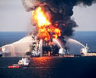 In the week of World Environment Day, as the Gulf of Mexico oil spill continues to devastate hundreds of species, the New Zealand Government announces a new permit for deep water oil exploration in New Zealand's ocean.