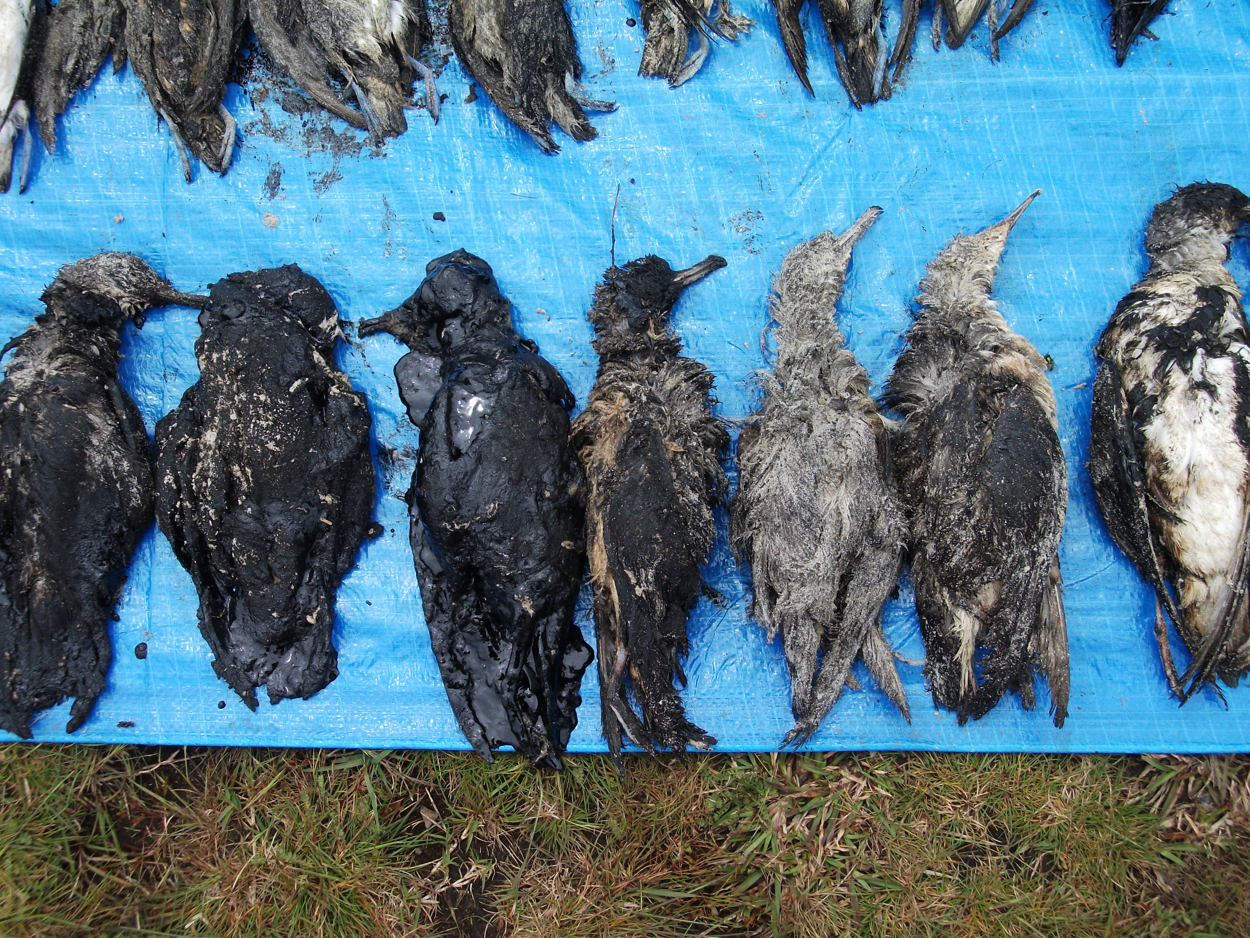 Nature Outdoor Water