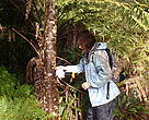 Setting the Goodnature automatic possum traps to the side of trees is a quick job thanks to the new lightweight technology.