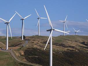 White wind turbines in New Zealand farmland against a clear blue sky