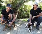 Student volunteers with predator detection dogs at the Tui Nature Reserve.