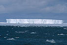  / &copy;: Sylvia Rubli / WWF-Canon