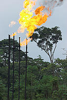 / &copy;: James Frankham / WWF-Canon