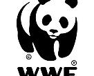 WWF